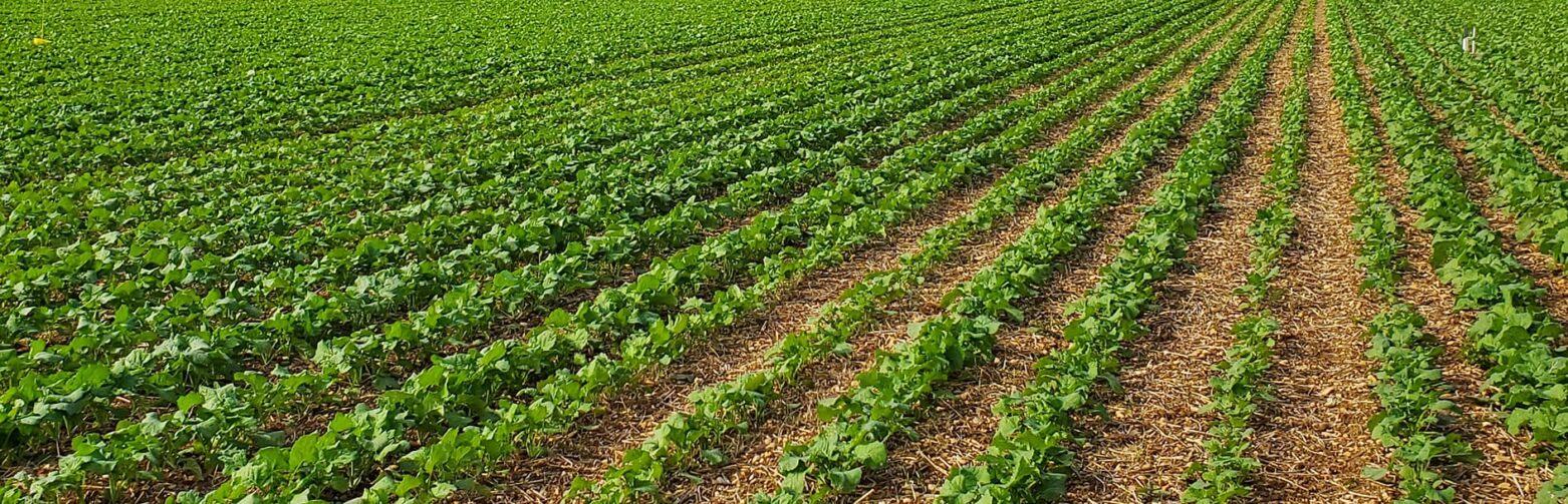 Produits advansee(1)