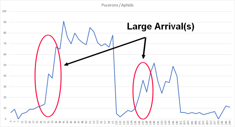 Détection des insectes ravageurs advansee