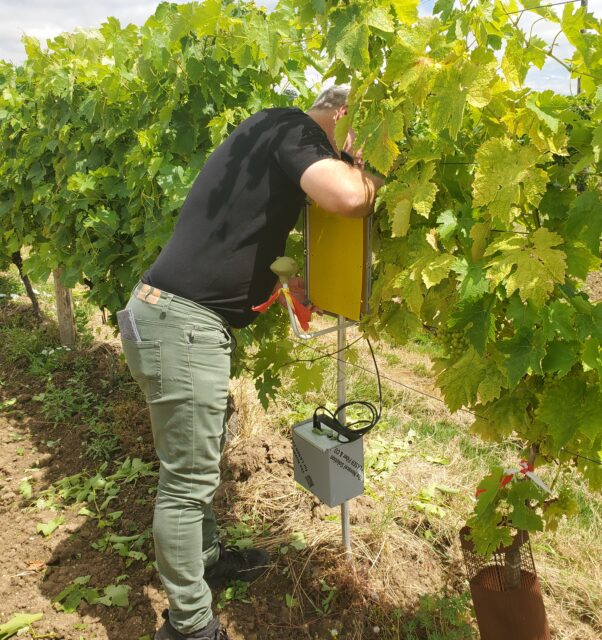 Installation egleek cognac 2025 2 advansee