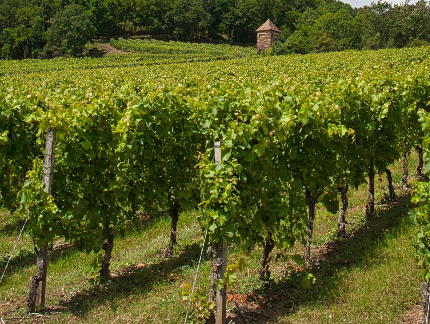 Pexels bruggi 35711454 2