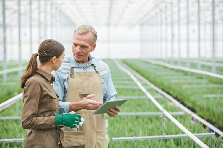 Young trainee working in plantation