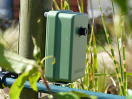 étude de la pollinisation