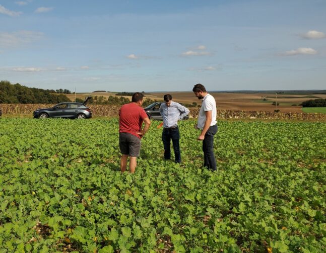 Protection des cultures advansee