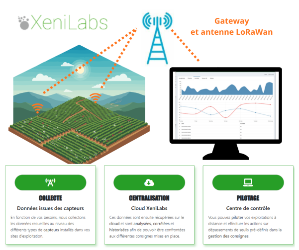 sonde temperature advansee